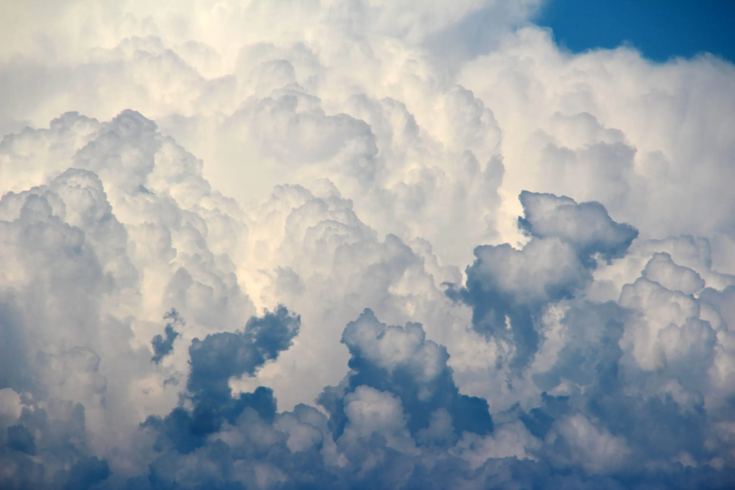 Cloud-Security: So wählen und steuern Sie Cloud-Dienste sicher